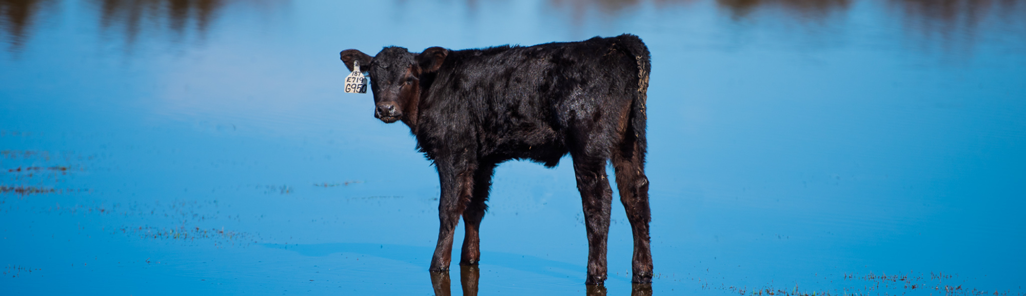 Farmers Coop Homepage